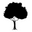 Casa de Vigas logo